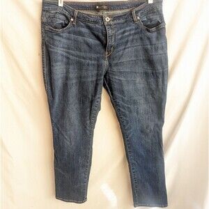 LEVI'S Womens FLATTERS & FLAUNTS Skinny Leg BLUE JEANS sz 24w Red Tab